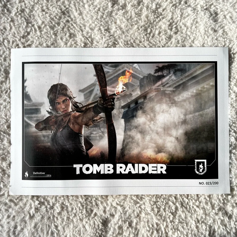 Tomb Raider shape raider owned